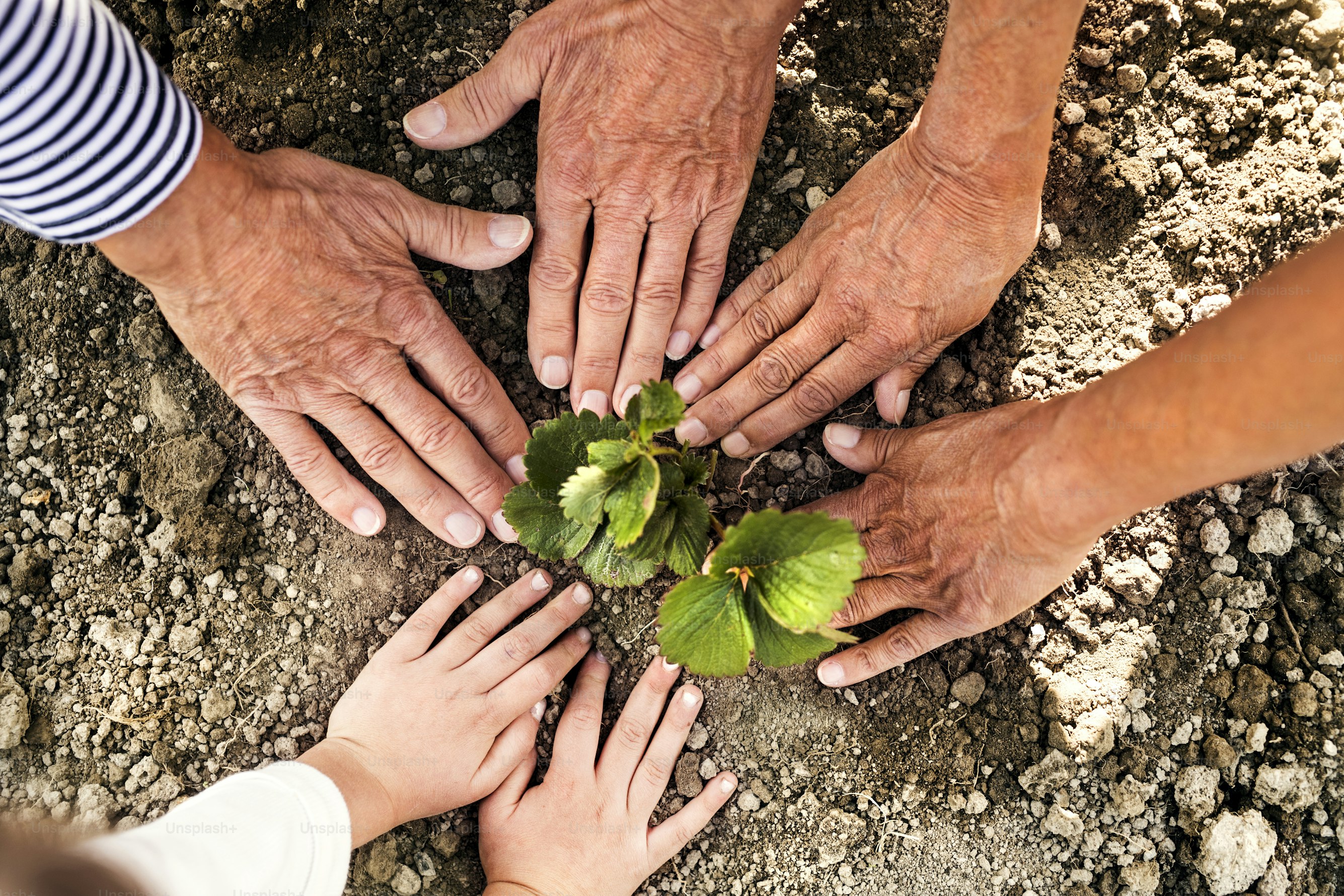Comunità e persone